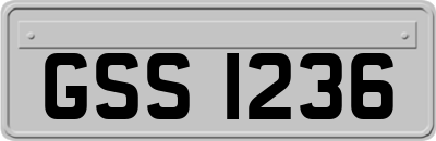 GSS1236