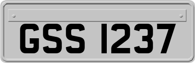 GSS1237