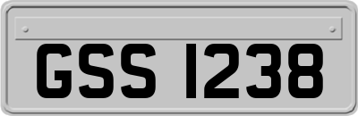 GSS1238
