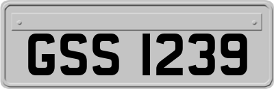 GSS1239