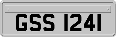GSS1241