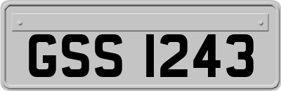 GSS1243