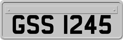 GSS1245