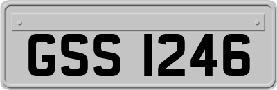 GSS1246