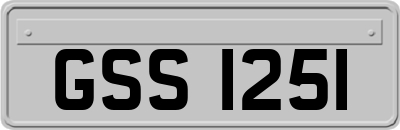 GSS1251
