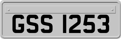 GSS1253