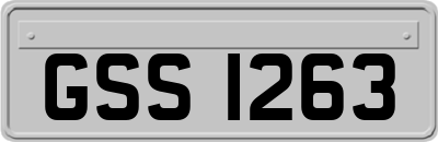 GSS1263