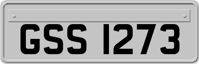 GSS1273