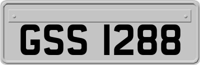 GSS1288