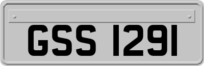 GSS1291
