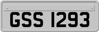 GSS1293