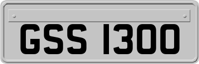 GSS1300