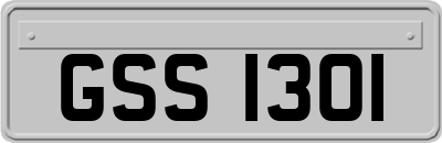 GSS1301