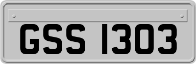 GSS1303