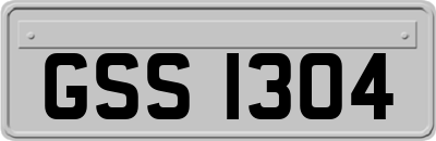 GSS1304