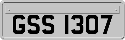GSS1307