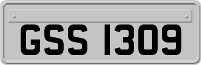GSS1309