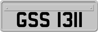 GSS1311