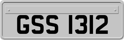 GSS1312