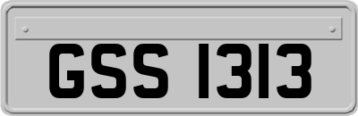 GSS1313