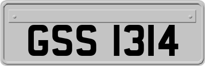 GSS1314