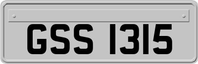 GSS1315