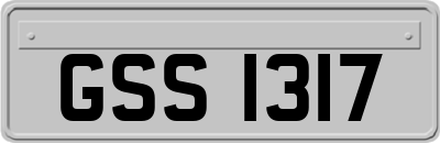 GSS1317