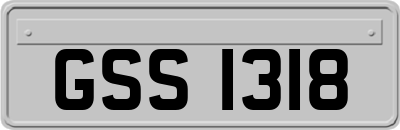 GSS1318