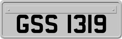 GSS1319
