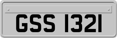 GSS1321