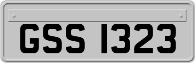 GSS1323