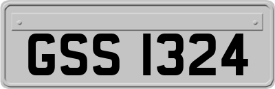 GSS1324