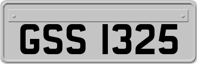 GSS1325