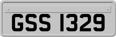 GSS1329