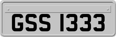 GSS1333