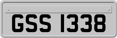 GSS1338