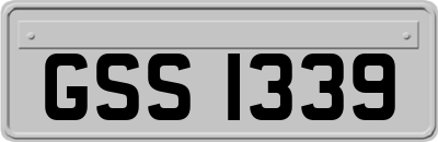 GSS1339