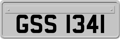 GSS1341