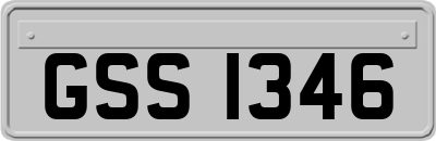 GSS1346