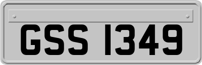GSS1349