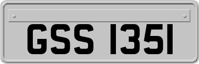 GSS1351