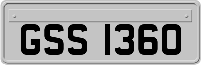 GSS1360