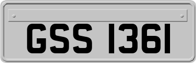 GSS1361