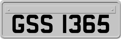 GSS1365