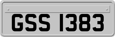GSS1383