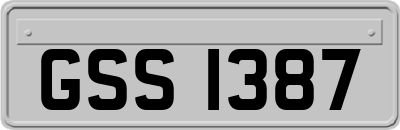 GSS1387