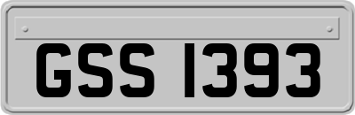GSS1393