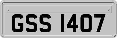 GSS1407