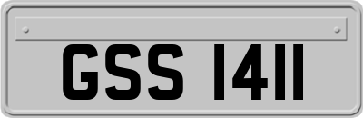 GSS1411