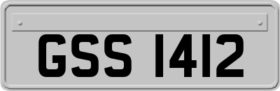 GSS1412